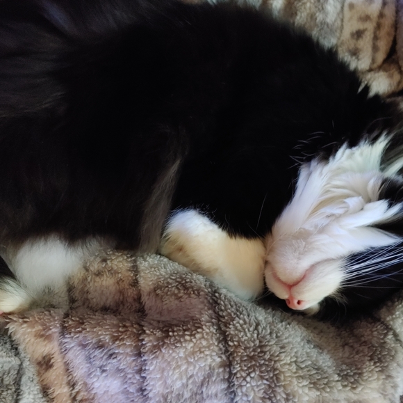 Lazy TV day๐๐บ ๐ - Picture 7 of 16